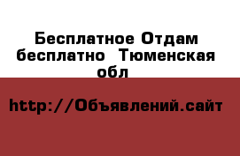 Бесплатное Отдам бесплатно. Тюменская обл.